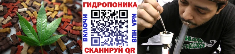 Купить закладки Шацк Cannafood конопля