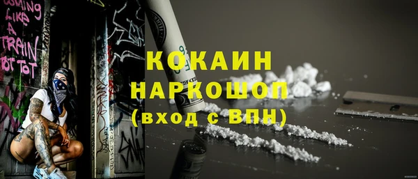 ECSTASY Гусь-Хрустальный