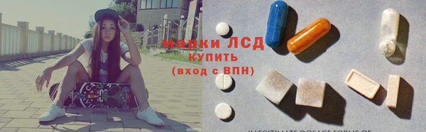 ECSTASY Гусь-Хрустальный