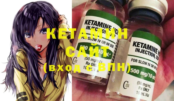 ECSTASY Гусь-Хрустальный