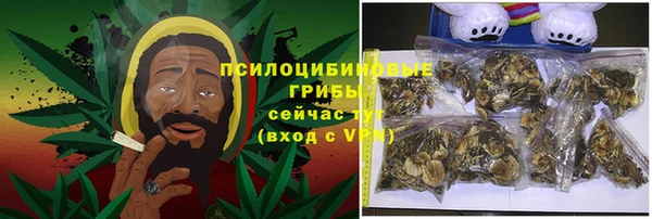 первитин Гусиноозёрск