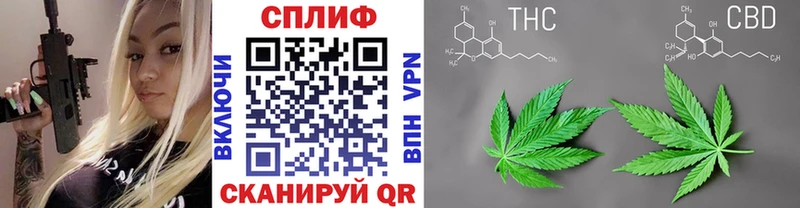 Марихуана MAZAR  Купить  Шацк 